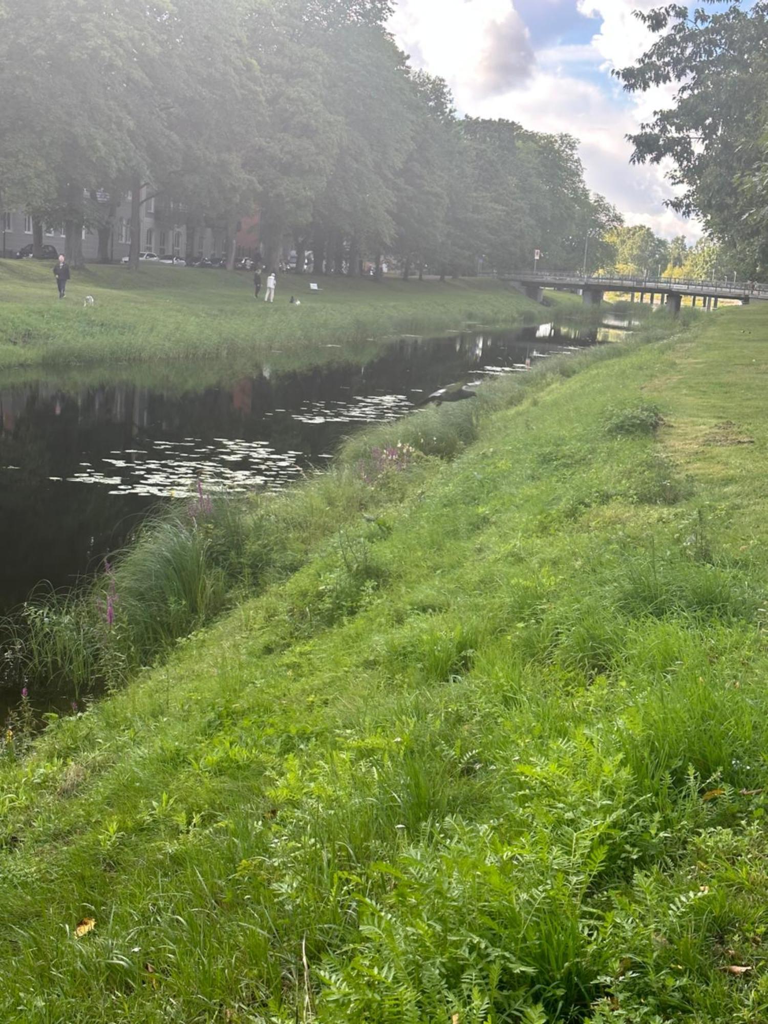 Pramkanalens Pensionat I Karlstad Esterno foto