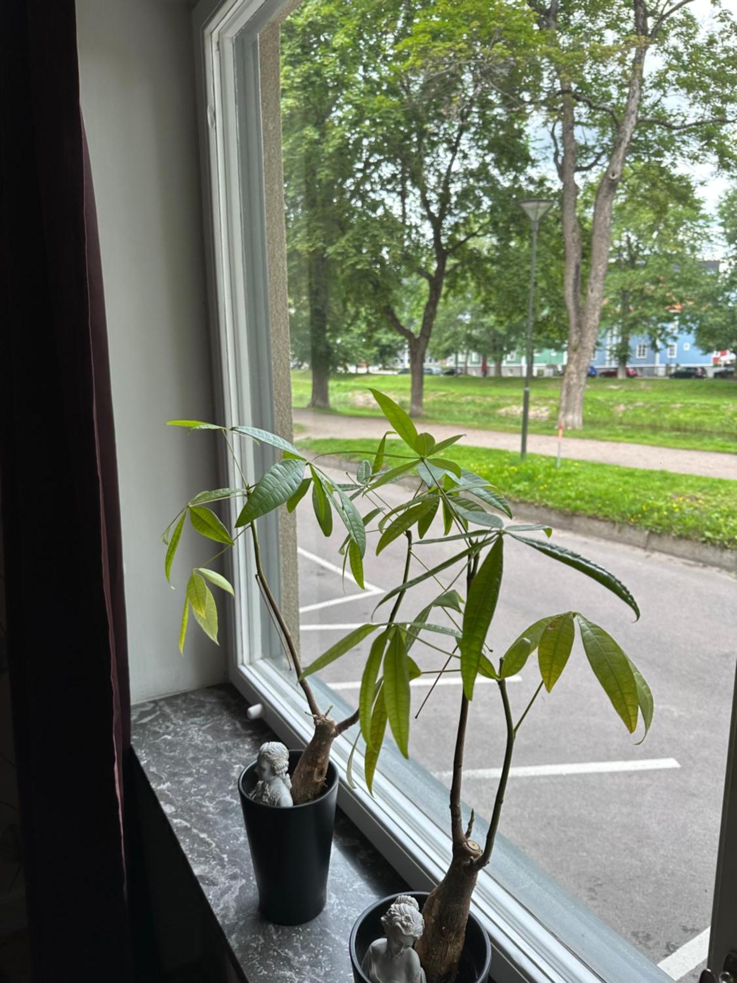 Pramkanalens Pensionat I Karlstad Esterno foto